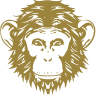 Omneky logo