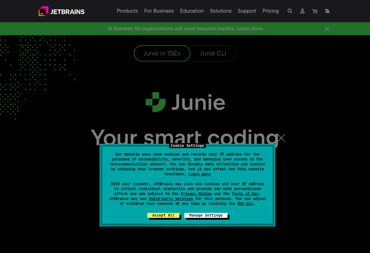 JetBrains Junie screenshot