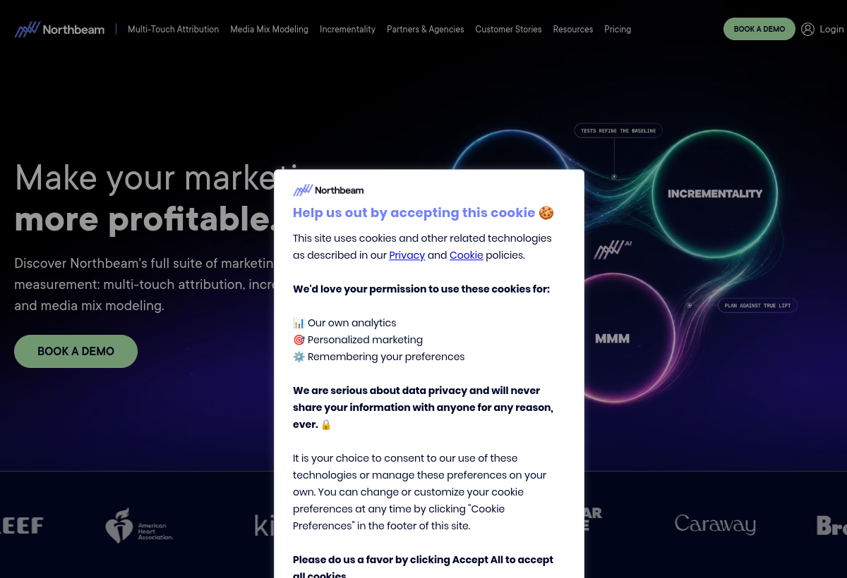 Northbeam screenshot